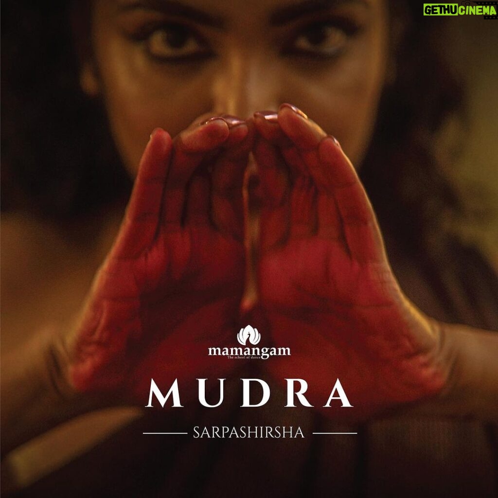 Rima Kallingal Instagram - Sarpashirsha Mudra, the sixteenth asamyukta hasta, symbolizes the serpent’s head. In this photo series, we delve into the profound concept of union conveyed through this ancient hand gesture, as outlined in the Abhinaya Darpana and Natya Shastra. Explore the symbolic significance and aesthetic expressions embodied in Sarpashirsha Mudra, capturing the essence of traditional Indian performing arts. @mamangamindia @theerthaae, shot by @chitrapriyadarshini , saris from @ithal.india MUAH @m.m_by_madonna