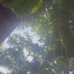 Rima Kallingal Instagram - Dump.