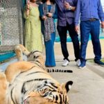 Riya Dey Instagram - के आज शेर खुल गये 🐯🫢😰🤗 #tigerkingdomphuket #adventure #loveanimal #family #familytrip #happiness #togetherforever #togetherness #fun #unlimited #positivevibes #positivity #laughter #travelphotography #travel #vacation #love #live #laugh #actress #riyadey Tiger Kingdom Phuket