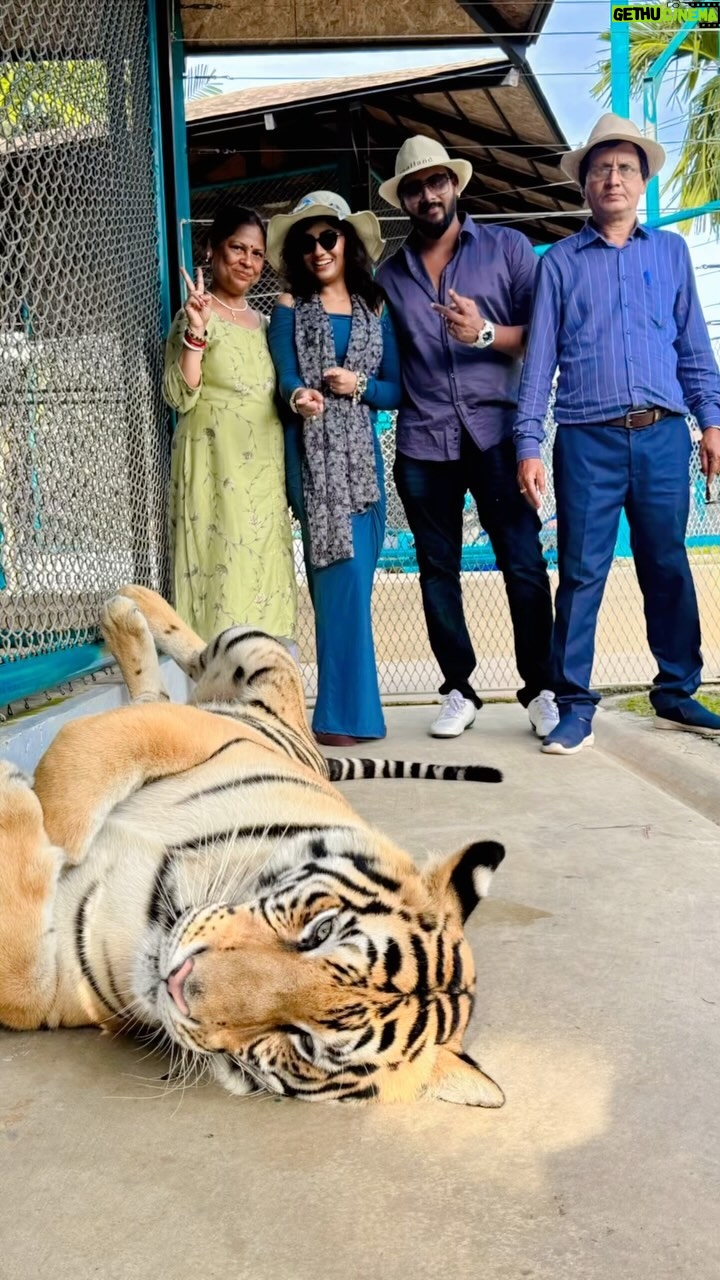 Riya Dey Instagram - के आज शेर खुल गये 🐯🫢😰🤗 #tigerkingdomphuket #adventure #loveanimal #family #familytrip #happiness #togetherforever #togetherness #fun #unlimited #positivevibes #positivity #laughter #travelphotography #travel #vacation #love #live #laugh #actress #riyadey Tiger Kingdom Phuket