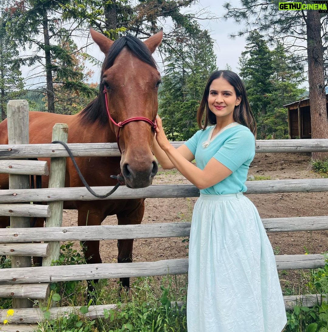 Roopi Gill Instagram - To my favourite animal in the world 💫🐎