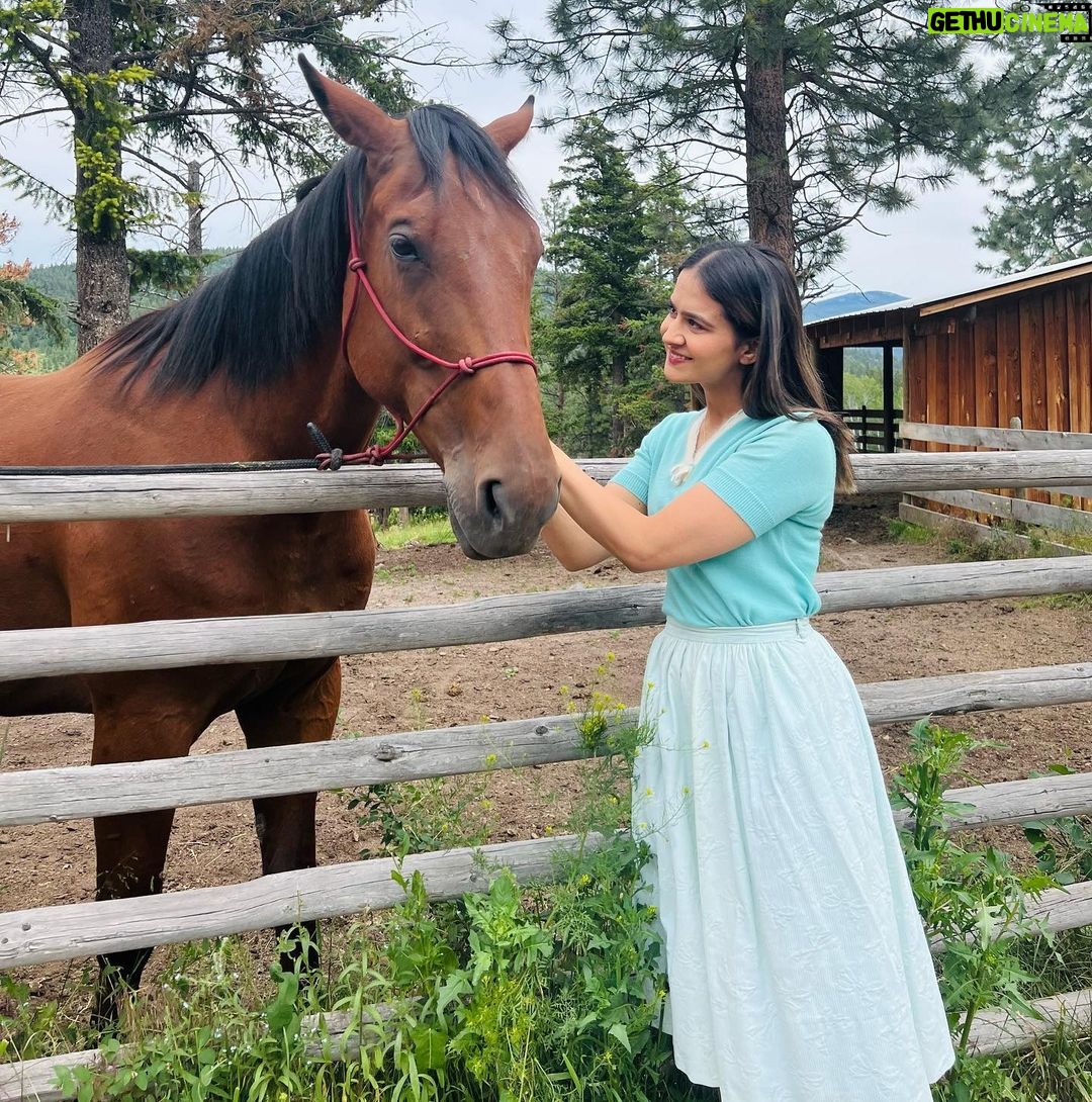 Roopi Gill Instagram - To my favourite animal in the world 💫🐎