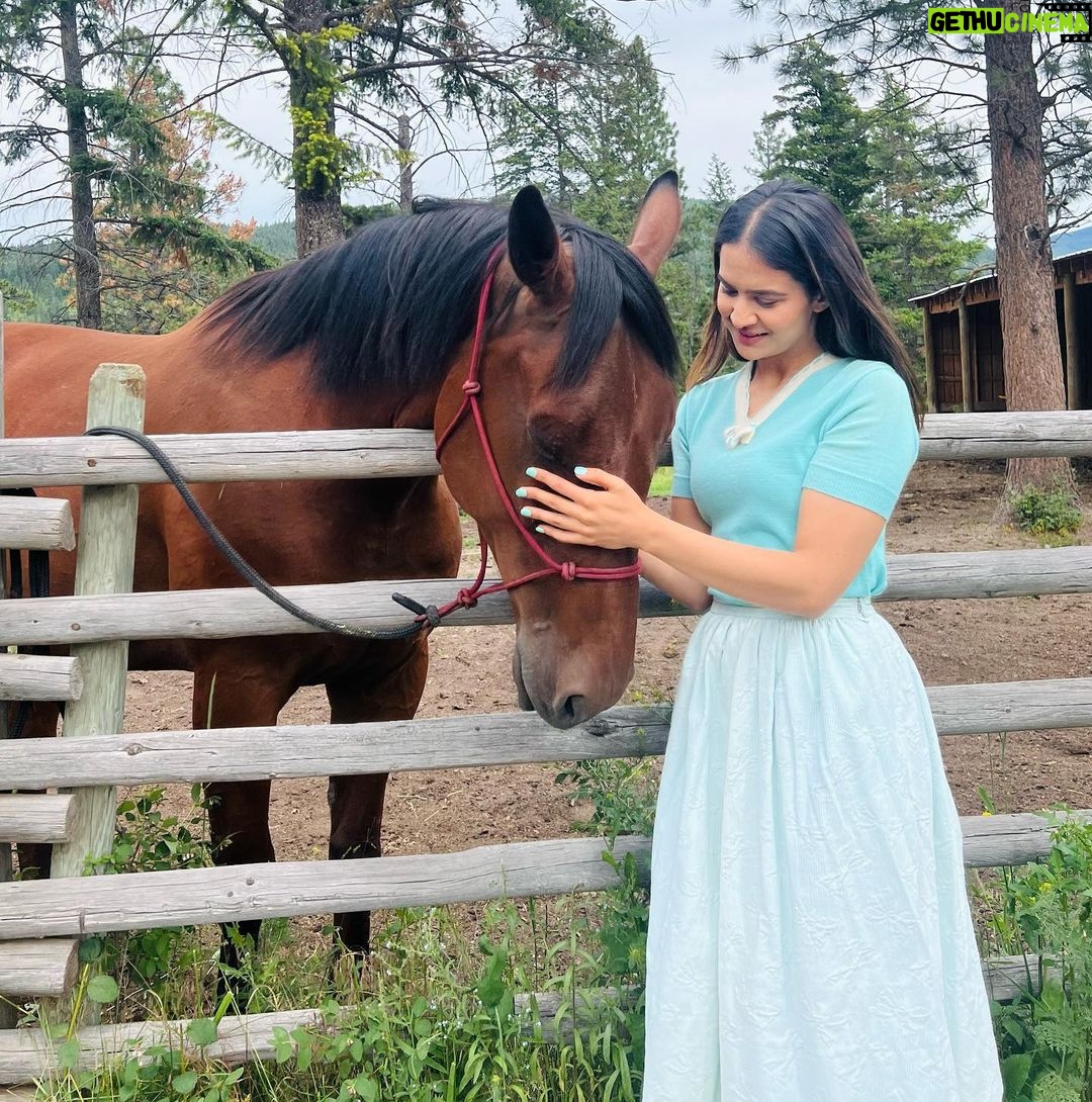 Roopi Gill Instagram - To my favourite animal in the world 💫🐎