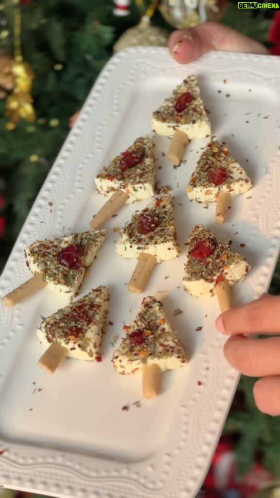 Roshni Chopra Instagram - Let’s get Cheesy (SAVE & TRY) 🧀 🥰🎄❤️ 1. I’ve used CHEESE CUBES that come ready in these triangles but you could also slice up a cheese brick into triangle shape 2. For the stems - use BREADSTICKS or pretzels 3. For the seasoning I’ve used a premix ItalianSEASONING but you can make your own with Rosemary + chilli flakes garnish with pomegranate or cranberries!! Happy holidays #easyrecepies #rorecipes #christmas #cheeseboard