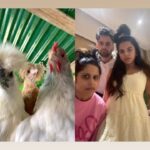 Sai Tamhankar Instagram - Chicken party.🐔🐔🐔 #mitalimayekar #saitamhankar #siddharthchandekar #party