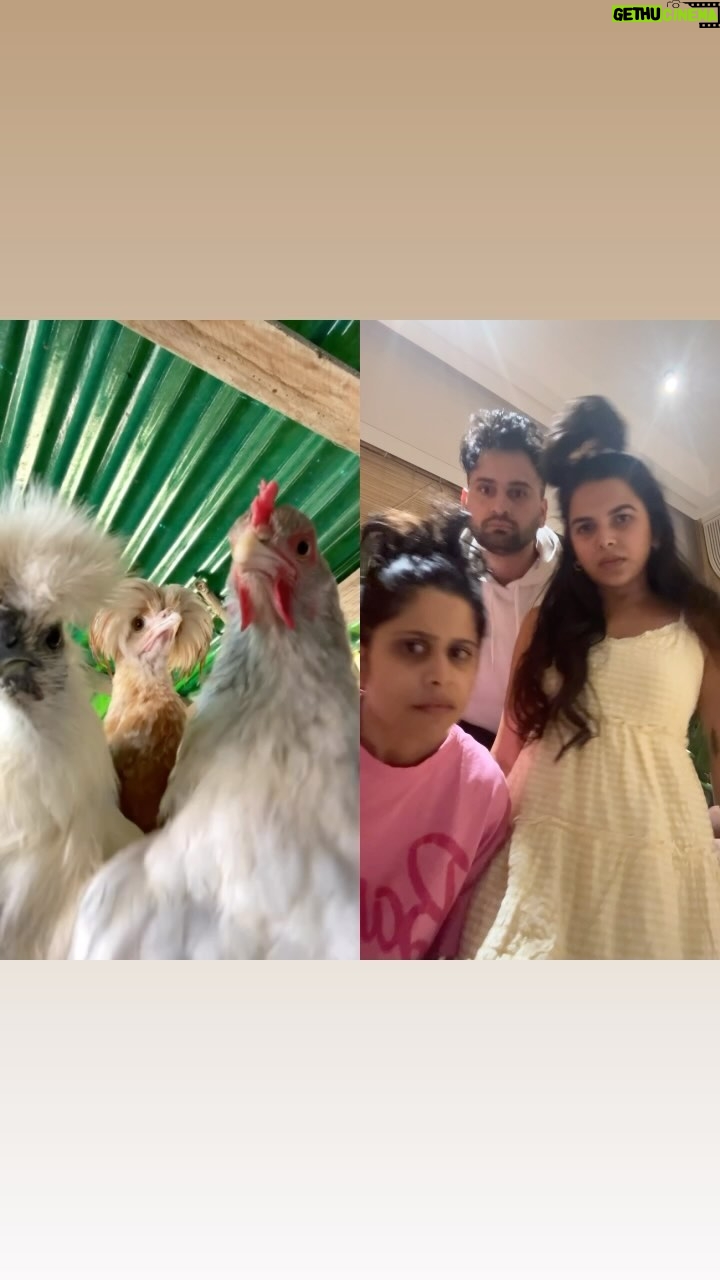 Sai Tamhankar Instagram - Chicken party.🐔🐔🐔 #mitalimayekar #saitamhankar #siddharthchandekar #party