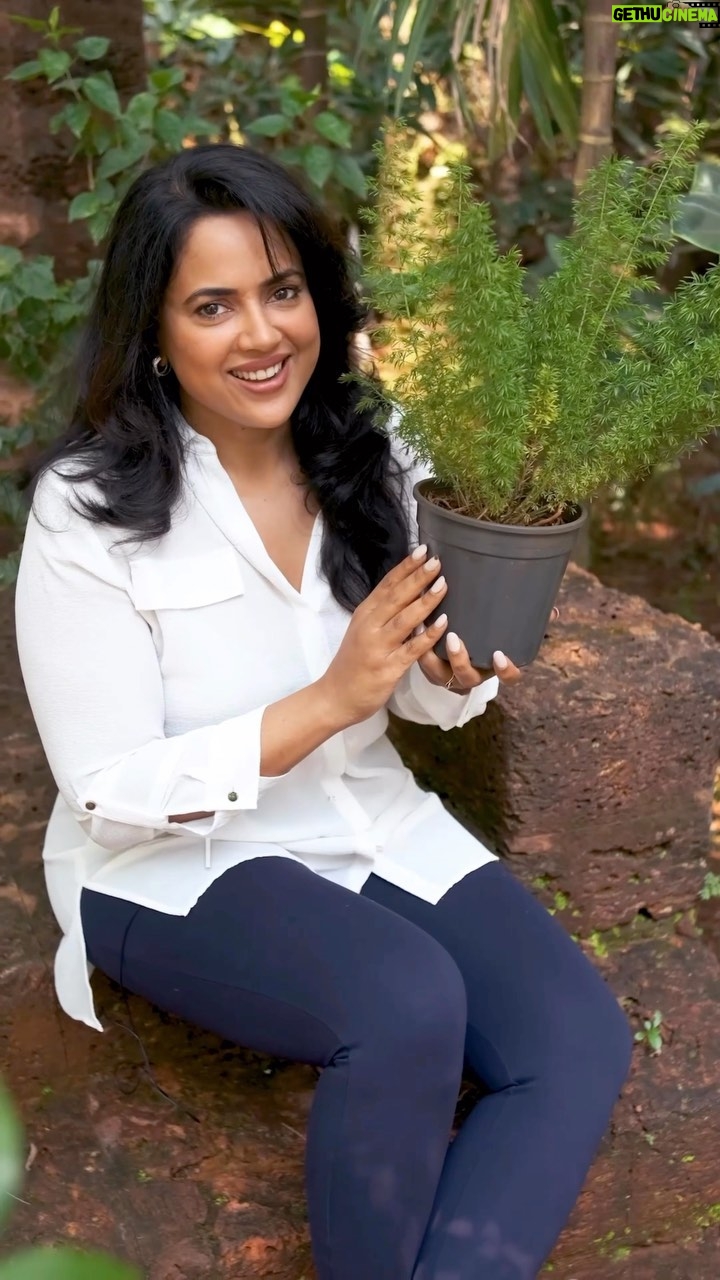 Sameera Reddy Instagram - I have come across a miracle cream that helps a lot with all the issues women face during menopause in their vaginal areas. Cerynë is all about feeling good in yourself. 💫 👇🏼No one wants to talk about this but this is affecting a majority of work in the urban work place who need to be happy and comfortable during this phase of their life. Cerynë’s SOPHISTICATED formulation mimics the natural biology of the vagina to recreate the DELICATE bioenvironment, which works with your body to restore vaginal comfort and SERENITY. I have personally tried the cream and it’s a wonder drug. Go try it for yourself. Because when your body feels good, so do you. ✅ #WellnessForWomen @ceryne.life #ConfidenceBoost #PersonalCare #CeryneIntimateCare #OwnYourConfidence #CeryneCommunity #VaginalHealth #MenopauseRelief #FeminineWellness #PostMenopauseCare #FeminineLubrication