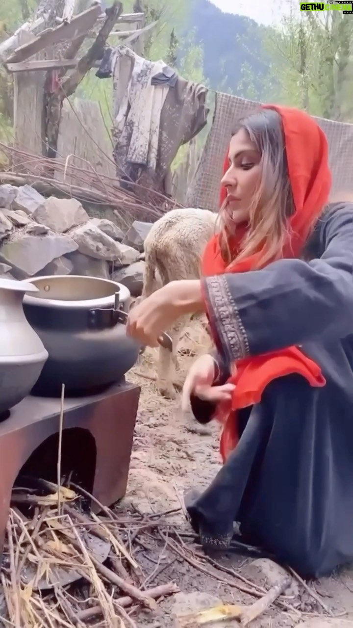 Sana Sultan - 224K Likes - “Aye husn khuda tere Kaafir bhi Deewane they” 🥹❤️
P.s : i feel so blessed to b Actress of this Song🥰 playing a Kashmiri Muslim Girl..mei hamesha chahti thi koi esa song karu as Heroine jahaa khubsurat urdu lafzon mei meri tareef ki jayee🫠🙈Toh yes literally manifested this kinda song🐒❤️
Audio toh khubsurat hai he all thanx to @kanwar_grewal_official sir’s voice, Video b bohot aala shoot hua , m glad all of them loved my Performance in this Song.. Punjab ki audience se bohot zyada appreciation hai mila hai for this one, promise to make u lovelies more proud in near future ❤️✨