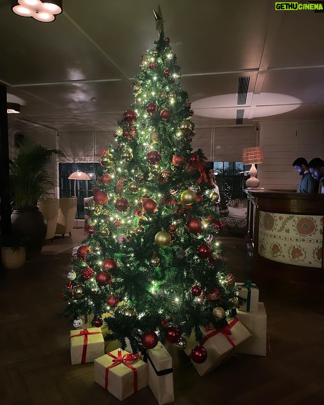 Sanaya Pithawalla Instagram - It’s a Christmas Date ♥️