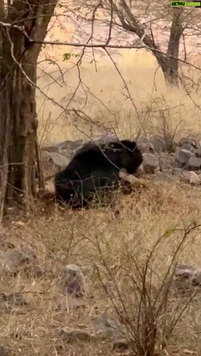 Sanjeeda Sheikh Instagram - Sloth Bear 🐻 Merry Christmas🎄