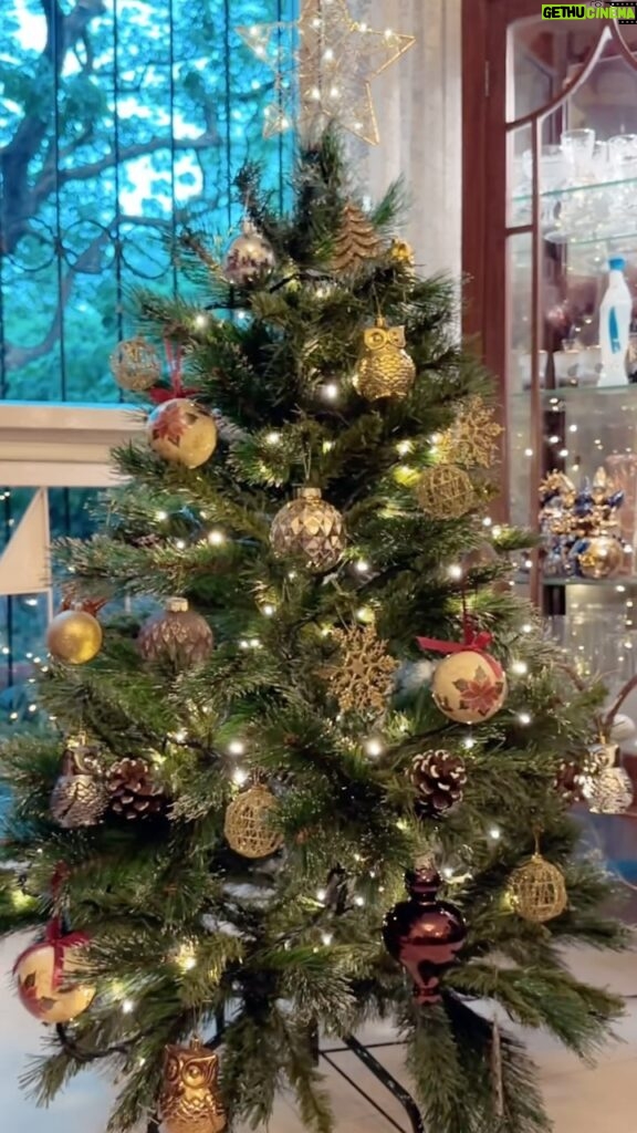 Sarah Jane Dias Instagram - pov: you said you wouldn’t put up too many decorations. . #christmas #christmasdecor #christmasdecorations #ilovechristmas #christmasreels #christmasseason #xmas #xmasseason #xmasreels