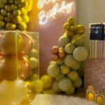 Sehrish Ali Instagram - A wonderful woman deserves a wonderful birthday.. really glad we could make your special day even more special. Hope you loved every bit of your birthday party @syed_sehrish_ali !! #birthdaysetup #birthdayparty #birthdays #decorations #highclassparties We also do #weddings #destinationweddings #decorations #vacations #anniversaries #planningsurprises #specialdates #proposalplans #25thanniversary #50thanniversary #cakes #planning #eventplanning #eventmanagement #petbirthdays #specialdays