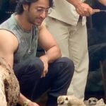 Shaheer Sheikh Instagram – #love