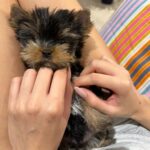 Shanaya Kapoor Instagram - u make me so happy, welcome home!!❤️