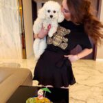 Shivaleeka Oberoi Instagram – Paw-ty animals unleashed! 🥳🐾
Birthday boy wasn’t very happy about the cap..🐶👻
#DogsOfInstagram #Birthday #PhotoDump