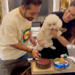 Shivaleeka Oberoi Instagram – Paw-ty animals unleashed! 🥳🐾
Birthday boy wasn’t very happy about the cap..🐶👻
#DogsOfInstagram #Birthday #PhotoDump