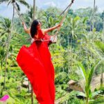 Shobanaa Uthaman Instagram - Bali without bali swing?! It was really dreamy ♥️✨ . . . . . . . . . . . #chennai#ootd#chennaifashion#chennaifashionblogger#fashionblogger#chennaimodel#chennaiphotographer#kollywood#bollywood#chennaiblogger#baliswing#potraitphotography#pose#instadaily#instagood#instacool#okbye#model#bali#modelling#saree#saree#tamilponnu#promoter#promotion#vacation#vijaytv#vijaytvserial#vijaytelevision#vijaytvshow#muthazhagu Tegallalang Rice Terraces