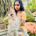 Shobanaa Uthaman Instagram – Monkey forest , Ubud 📍 #monkeyselfie 
 
.
.
.
.
.
. 
.
.
.
.
.
#chennai#ootd#chennaifashion#vacation#fashionblogger#chennaimodel#monkeyforest#kollywood#bollywood#chennaiblogger#bali#potraitphotography#pose#instadaily#instagood#instacool#okbye#model#chennaimodel#modelling#saree#saree#tamilponnu#indonesia#promotion#collaboration#vijaytv#vijaytvserial#vijaytelevision#vijaytvshow#muthazhagu Ubud Monkey Forest