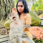 Shobanaa Uthaman Instagram - Monkey forest , Ubud 📍 #monkeyselfie . . . . . . . . . . . #chennai#ootd#chennaifashion#vacation#fashionblogger#chennaimodel#monkeyforest#kollywood#bollywood#chennaiblogger#bali#potraitphotography#pose#instadaily#instagood#instacool#okbye#model#chennaimodel#modelling#saree#saree#tamilponnu#indonesia#promotion#collaboration#vijaytv#vijaytvserial#vijaytelevision#vijaytvshow#muthazhagu Ubud Monkey Forest