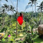 Shobanaa Uthaman Instagram - Bali without bali swing?! It was really dreamy ♥️✨ . . . . . . . . . . . #chennai#ootd#chennaifashion#chennaifashionblogger#fashionblogger#chennaimodel#chennaiphotographer#kollywood#bollywood#chennaiblogger#baliswing#potraitphotography#pose#instadaily#instagood#instacool#okbye#model#bali#modelling#saree#saree#tamilponnu#promoter#promotion#vacation#vijaytv#vijaytvserial#vijaytelevision#vijaytvshow#muthazhagu Tegallalang Rice Terraces