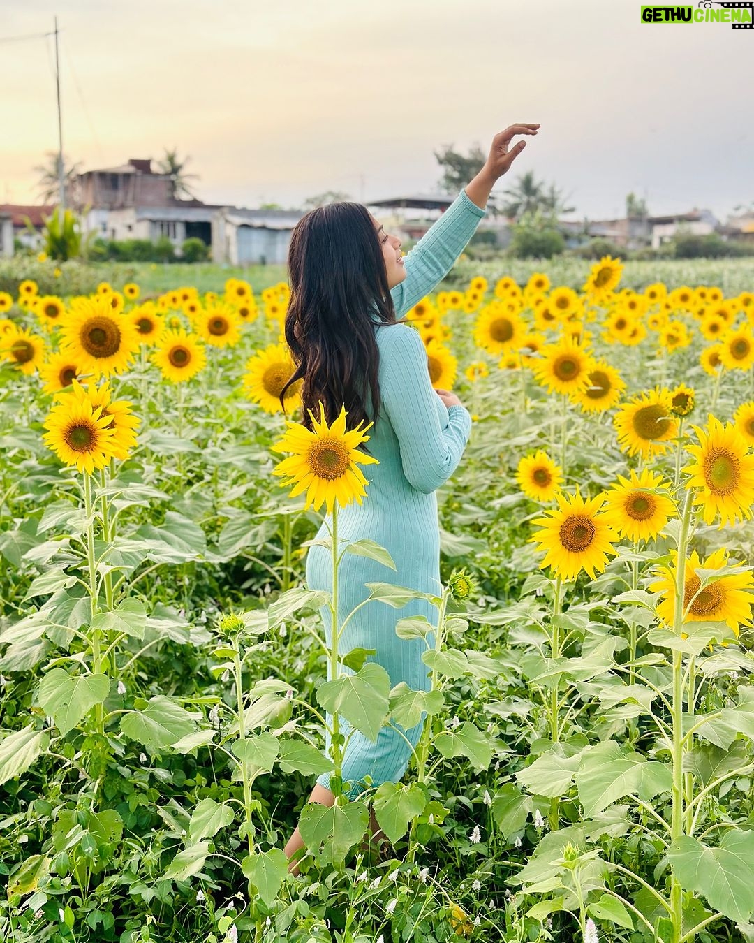 Shobanaa Uthaman Instagram - Sometimes you have to get lost before you find yourself 🌻✨ . . . . . . . . . . . #chennai#ootd#kollywood#bollywood#pose#instadaily#instagood#instacool#model#modelling#saree#saree#tamilponnu#promoter#promotion#collaboration#vijaytv#vijaytvserial#vijaytelevision#vijaytvshow#muthazhagu#wayanad Wayanad, Kerala