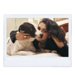 Shriya Pilgaonkar Instagram - We’re naive to think that it’s us taking care of them when in actuality , it is them taking care of us 🐾 #Roomies #Jack #myheartandsoul