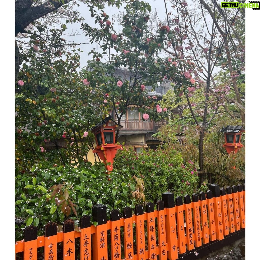 Shweta Bachchan Nanda Instagram - Kyoto when it rains ~ it wasn't the perfect day to visit, it wasn't the right time either, we just caught the fag end of cherry blossom season. My shoes were soaked through and I am not a fan of the rain, but the Japanese have a term " kintsugi " a metaphor for embracing flaws and imperfections. So in that spirit we set forth and actually had a wonderful time! I feel if I am to ever learn patience it will be here where the people are so mindful taking time to enjoy the smallest things. Our guide insisted we visit the Starbucks built inside an ancient home, the old street was charming and so clean but most importantly no one was in a hurry, but me, I was dying to write this all down before I forget. 🌸