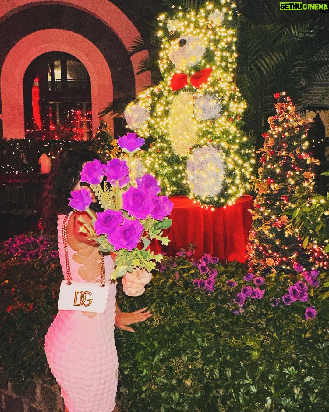 Sidhika Sharma Instagram - “Jingle bells,jingle bells ,jingle all the way !”🫶🌸⚡️🦋🍡🎂🍭 Taj Hotel Colaba