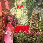 Sidhika Sharma Instagram - “Jingle bells,jingle bells ,jingle all the way !”🫶🌸⚡️🦋🍡🎂🍭 Taj Hotel Colaba