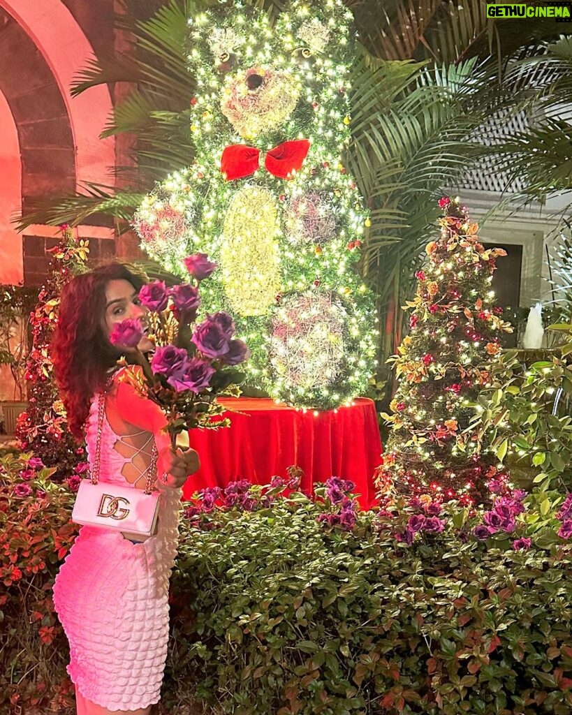 Sidhika Sharma Instagram - “Jingle bells,jingle bells ,jingle all the way !”🫶🌸⚡️🦋🍡🎂🍭 Taj Hotel Colaba