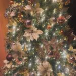 Sidhika Sharma Instagram - “Jingle bells,jingle bells ,jingle all the way !”🫶🌸⚡️🦋🍡🎂🍭 Taj Hotel Colaba