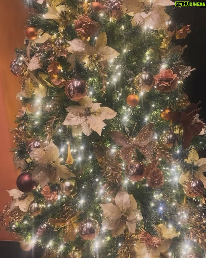 Sidhika Sharma Instagram - “Jingle bells,jingle bells ,jingle all the way !”🫶🌸⚡️🦋🍡🎂🍭 Taj Hotel Colaba