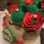 Sidhika Sharma Instagram - “Jingle bells,jingle bells ,jingle all the way !”🫶🌸⚡️🦋🍡🎂🍭 Taj Hotel Colaba