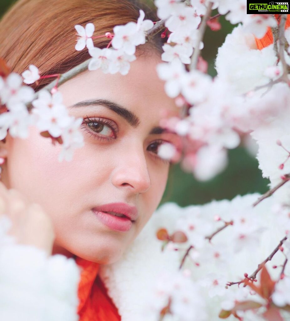 Simi Chahal Instagram - cherry blossoms are my kinda flowers 🌸❤️ 📸 : @dashmesharts 😊