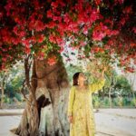 Simi Chahal Instagram – Last 2 photos are my fav 🥹❤️

,

Suit : @the_rosegirl 
Jewelry : @theurbanglitter 
Makeup : @prabhakarchande_makeupartist 
Hair : @krishna.hairstylist 
Photography : @maniksharma.cc