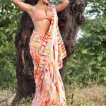 Sofia Ansari Instagram – Which saree 🥻 look you like the most ??? 
let me know in comment box ⬇️