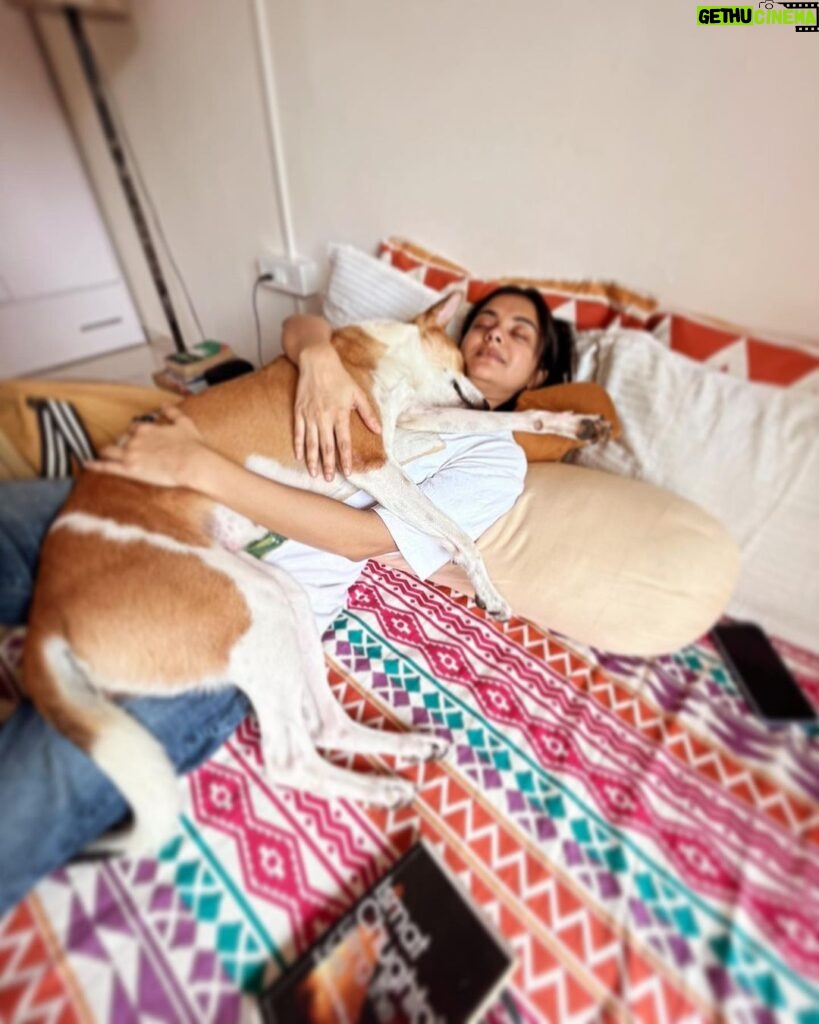 Solanki Roy Instagram - After lunch sleep a while! 💤 Versova, Mumbai