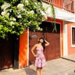 Sonalee Kulkarni Instagram – It was a Bougainवेल 🌸🌼🌸

#sonaleekulkarni #marathimulgi 
#pink #peach #floral #flower #bougainvillea #pondicherry Pondicherry – பாண்டிச்சேரி