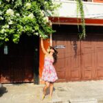 Sonalee Kulkarni Instagram – It was a Bougainवेल 🌸🌼🌸

#sonaleekulkarni #marathimulgi 
#pink #peach #floral #flower #bougainvillea #pondicherry Pondicherry – பாண்டிச்சேரி