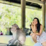Sonalee Kulkarni Instagram – मेरे monkey मैं जानू और उसके monkey 🙈🐵🙉

#monkeyforest #ubud #bali #indonesia 

Final travelogue coming out today! 

Don’t forget to subscribe to my @youtube channel 🔗 LINK IN BIO
#skirt @aciddresses @sshorewala @acidfashionhouse 
#sonaleekulkarni #marathimulgi #travelblogger Sacred Monkey Forest Sanctuary Ubud