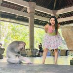 Sonalee Kulkarni Instagram – मेरे monkey मैं जानू और उसके monkey 🙈🐵🙉

#monkeyforest #ubud #bali #indonesia 

Final travelogue coming out today! 

Don’t forget to subscribe to my @youtube channel 🔗 LINK IN BIO
#skirt @aciddresses @sshorewala @acidfashionhouse 
#sonaleekulkarni #marathimulgi #travelblogger Sacred Monkey Forest Sanctuary Ubud