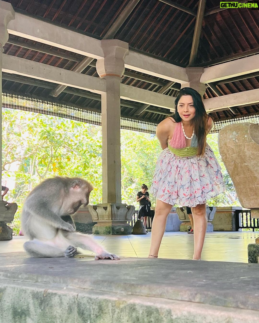 Sonalee Kulkarni Instagram - मेरे monkey मैं जानू और उसके monkey 🙈🐵🙉 #monkeyforest #ubud #bali #indonesia Final travelogue coming out today! Don’t forget to subscribe to my @youtube channel 🔗 LINK IN BIO #skirt @aciddresses @sshorewala @acidfashionhouse #sonaleekulkarni #marathimulgi #travelblogger Sacred Monkey Forest Sanctuary Ubud
