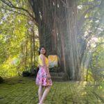 Sonalee Kulkarni Instagram - Bringing my last and final episode of #bali soon… It is about all the fun things that you must to in #ubud Guess the to do list 📋 Coming out tomorrow on my @youtube channel! #staytuned and don’t forget to subscribe! #croptop @angelcroshet_swimwear #yellow #top #skirt @aciddresses @acidfashionhouse @sshorewala #sonaleekulkarni #marathimulgi #instagood #instastyle #traveller #travelogue #indonesia #bali #ubud Ubud, Bali, Indonesia