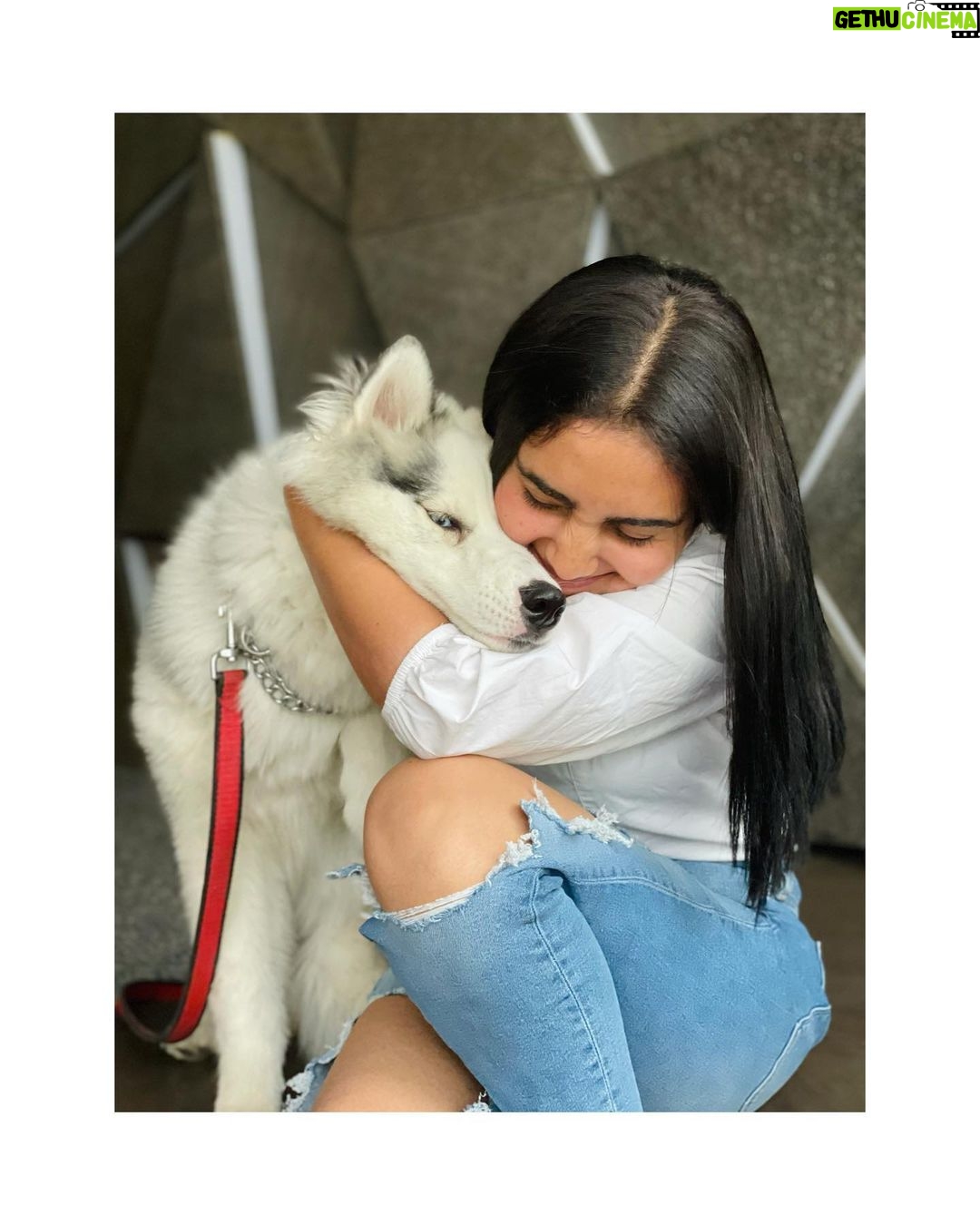 Sonia Singh Instagram - Thank you so much Santosh❤️ @santosh_sidhu_ for bringing him into my life. Life has been more happier and responsible. @bowtomeow such a sweetest place❤️