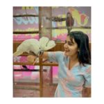Sonia Singh Instagram - @bowtomeow -my favourite place 😍