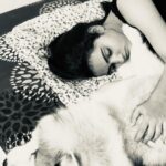 Sonia Singh Instagram - From here to swipe right ☺️ Bagheera you’re the love of my life. I love you so so so muchhh. The happiest part of my life is you. I try to laugh or love in your presence. I know now you’re not going to read this but still #selfsatisfaction 🤣🤣🤣 @bowtomeow Santosh thank you so much for bringing him into my life, this is the best gift.