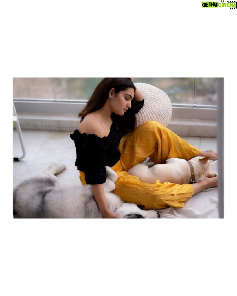 Sonia Singh Instagram - Guarding my two sons❤️ #bagheera #mowgli