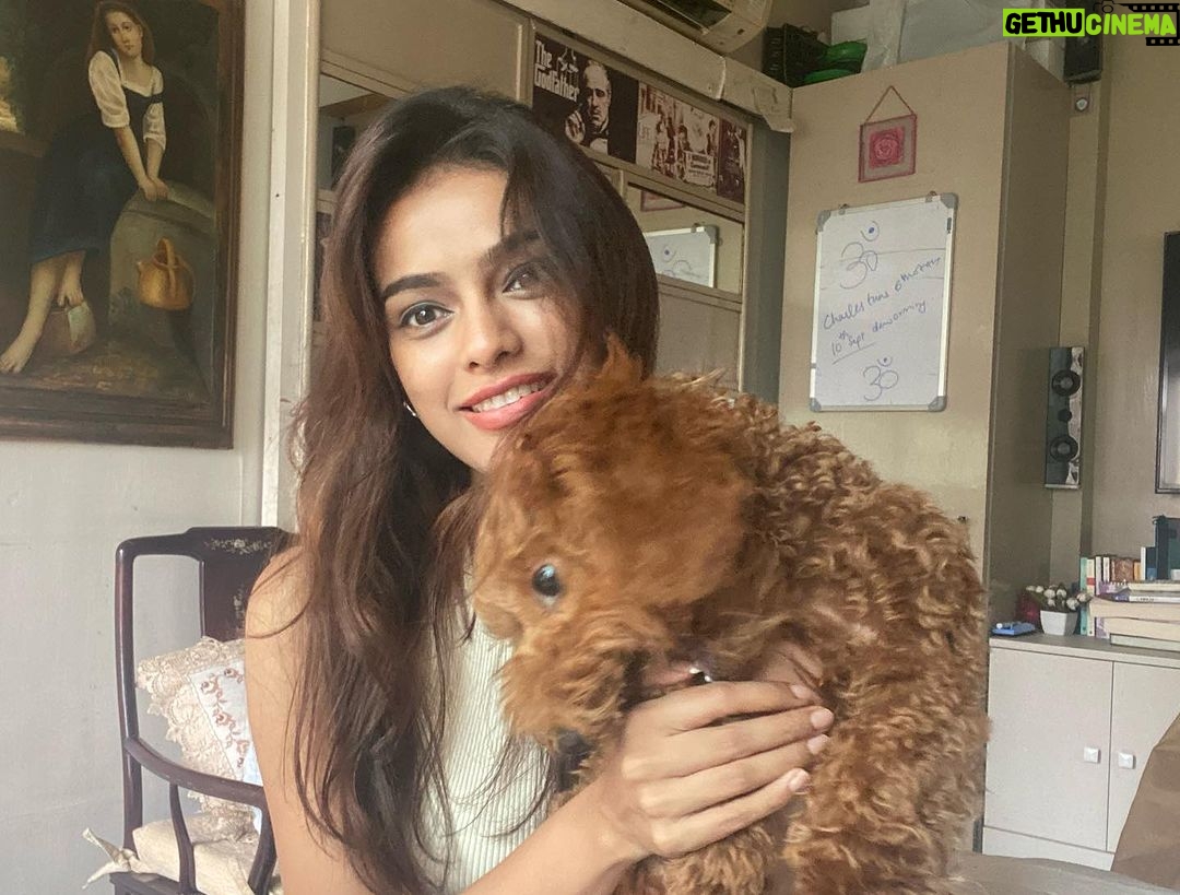 Sonyaa Ayodhya Instagram - You glow differently when you are loved well .. ✨ fluff @sonyakabetacharles eyelash partner @flibbertigibbetbeautty #dogs #ig #love #photos #memories #likes #mood #browns