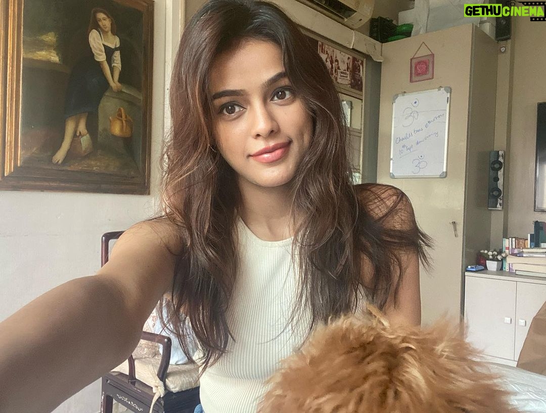 Sonyaa Ayodhya Instagram - You glow differently when you are loved well .. ✨ fluff @sonyakabetacharles eyelash partner @flibbertigibbetbeautty #dogs #ig #love #photos #memories #likes #mood #browns