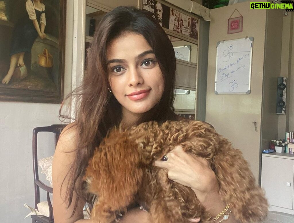 Sonyaa Ayodhya Instagram - You glow differently when you are loved well .. ✨ fluff @sonyakabetacharles eyelash partner @flibbertigibbetbeautty #dogs #ig #love #photos #memories #likes #mood #browns